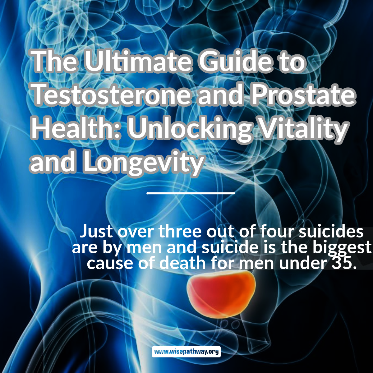 The Ultimate Guide to Testosterone and Prostate Health: Unlocking Vitality and Longevity